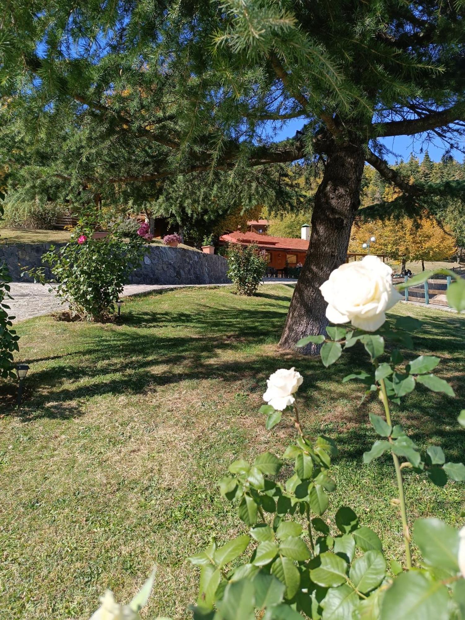 Livadaki Village Megali Kapsi Екстериор снимка