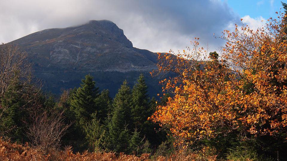Livadaki Village Megali Kapsi Екстериор снимка