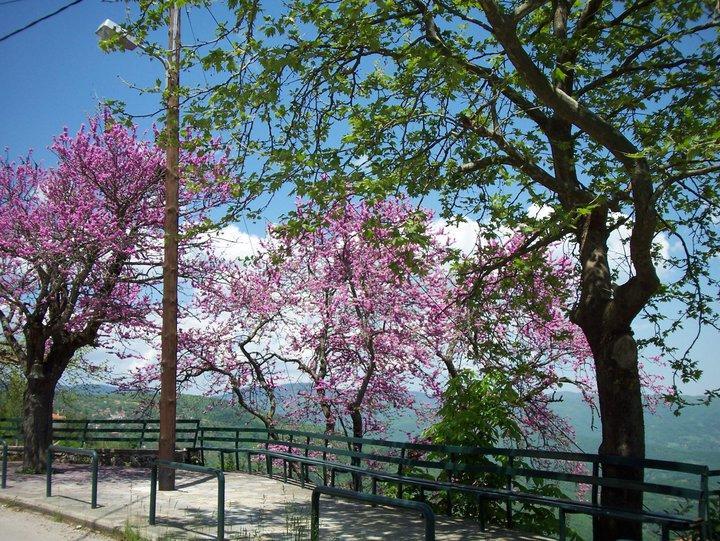 Livadaki Village Megali Kapsi Екстериор снимка