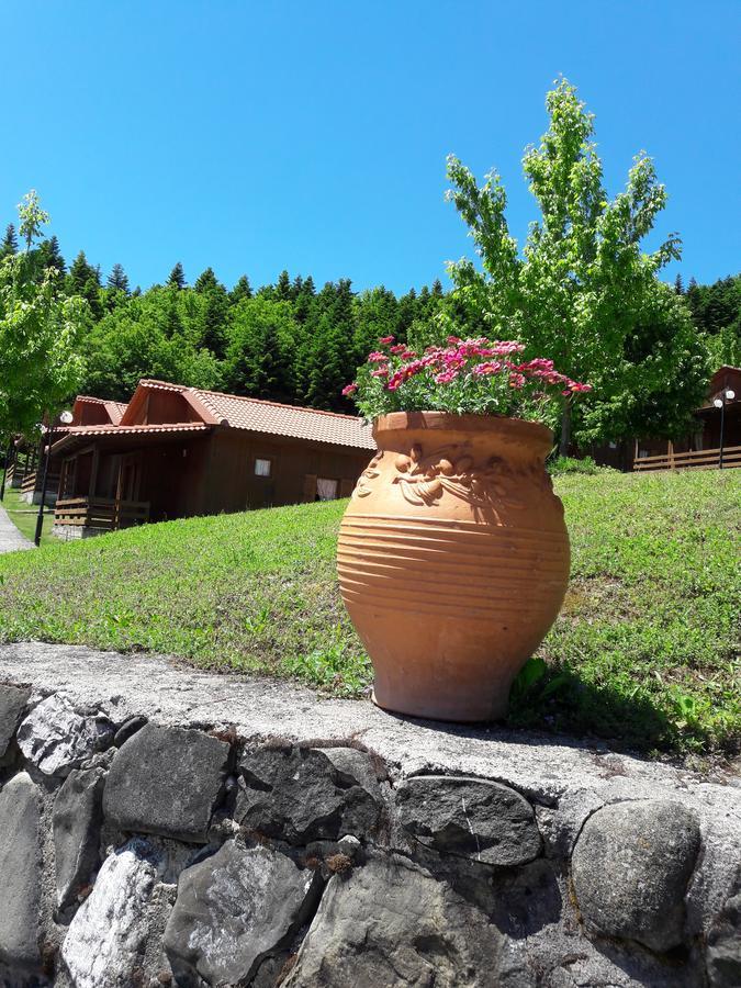 Livadaki Village Megali Kapsi Екстериор снимка
