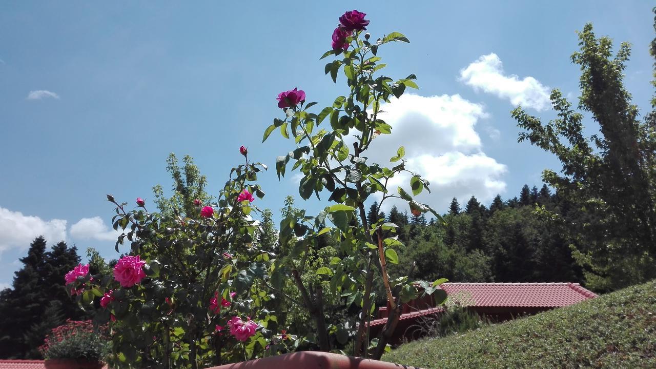 Livadaki Village Megali Kapsi Екстериор снимка